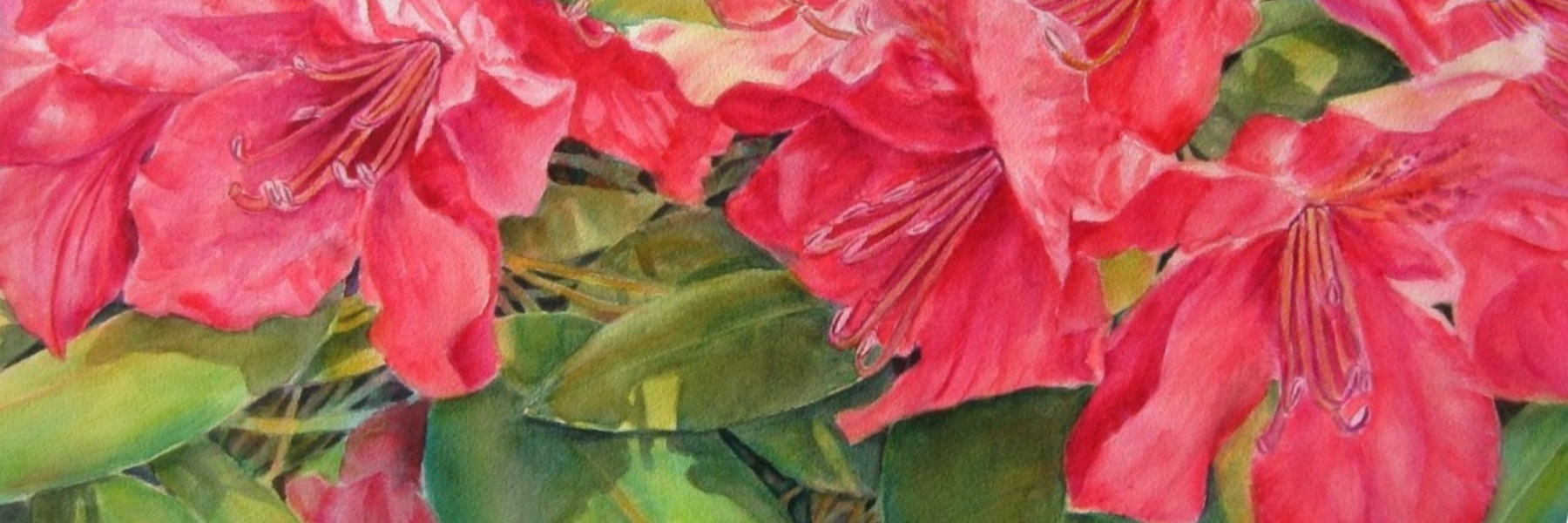 banner_Banner-Red-Rhodos-1920-x-640.20240330115648.jpg