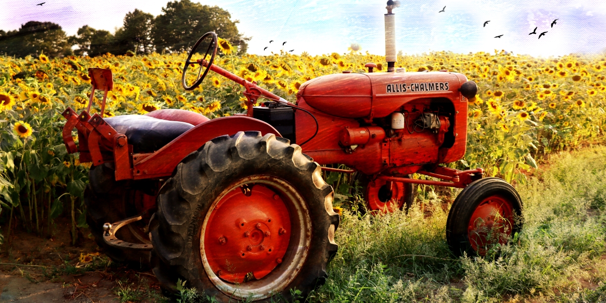 banner_Filomena-Scarfone-Tractor-and-Sunflowers-2025.20260106144207.jpg