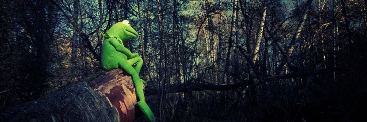 banner_camryn.20260507084829.jpg