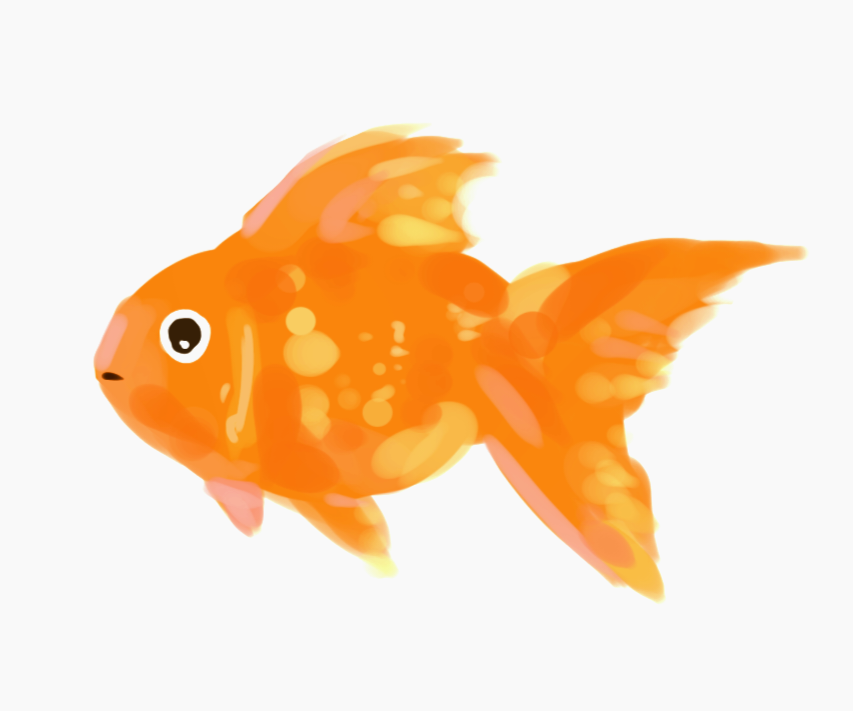 profile_570-20250523152453.20260407193401.png
